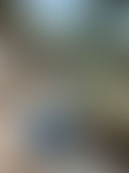 Gold Reef City Rides