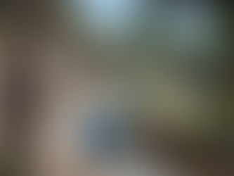 Gold Reef City Rides