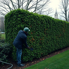 futuristic hedge trimming