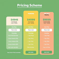 pricing scheme