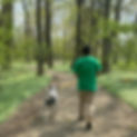 Walking.jpeg