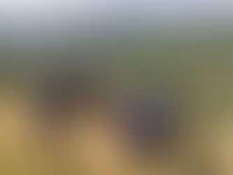 Despliegan operativo de búsqueda en Tlatlaya, por desaparecidos en Texcapilla