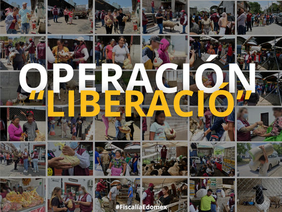 Termina en el sur del Edoméx entrega de bienes asegurados durante la Operación "Liberación"