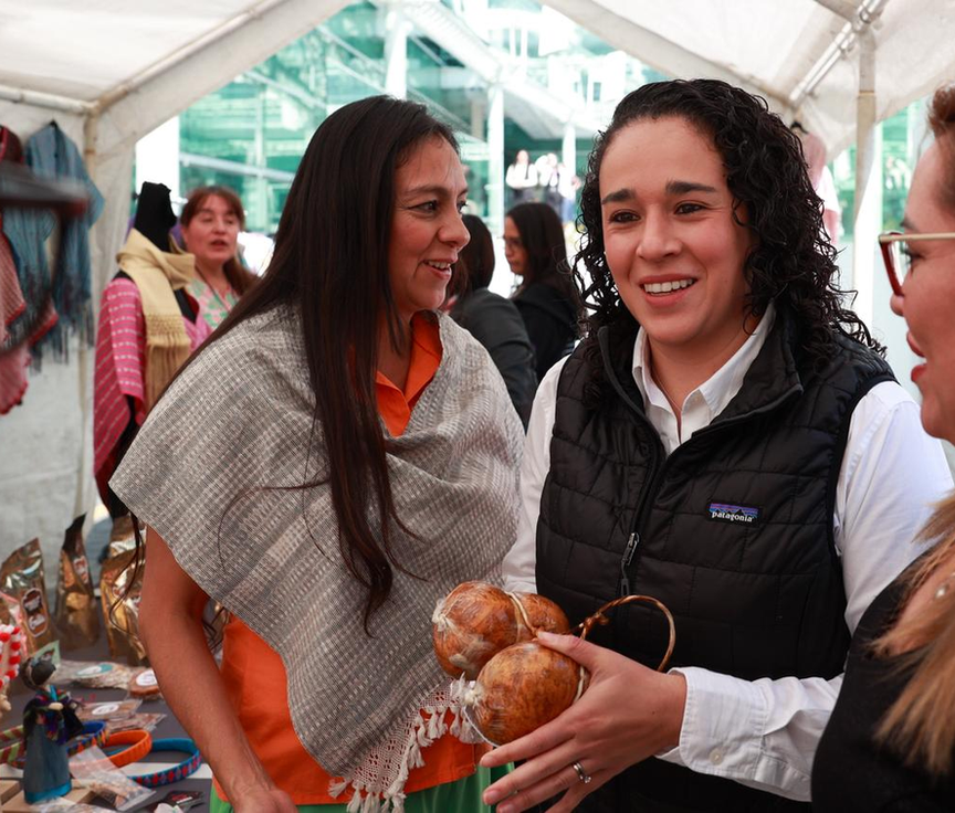 Concluye el IEEM actividades por los 16 días de activismo contra la violencia de género