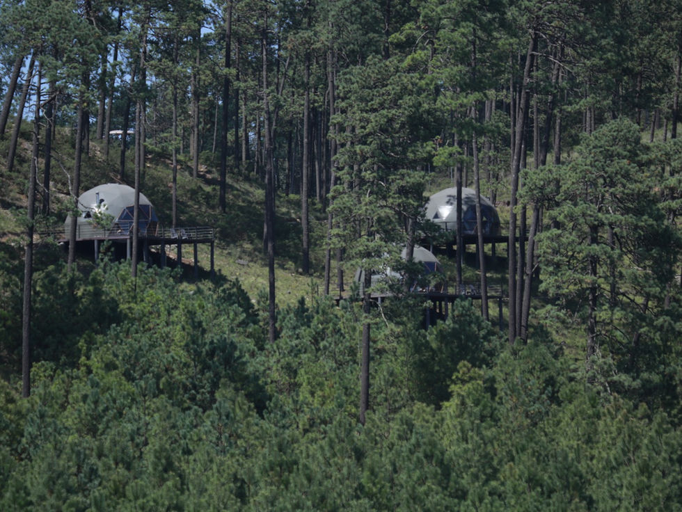 Bosques, cascadas y mariposas: descubre Amanalco