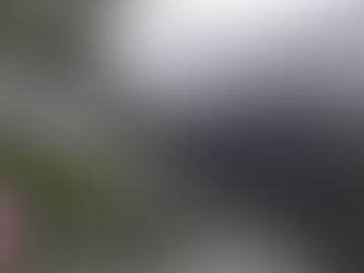 Toluca se mantiene en alerta, tras afectaciones por aguaceros