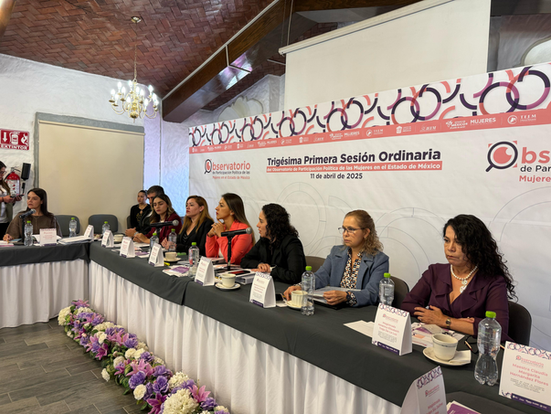 El TEEM participa en la  XXXI Sesión Ordinaria del Observatorio de Participación Política de las Mujeres en el  Edoméx