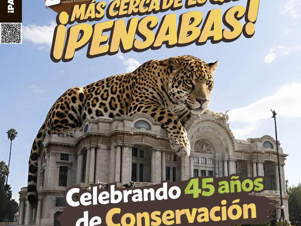 Safari urbano: animales de Zacango en los pasillos del Metro en CDMX