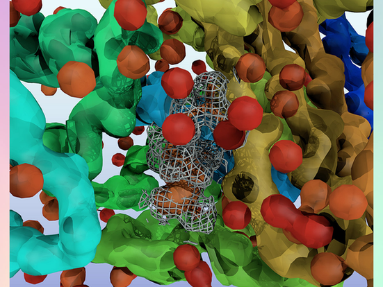 El bioarte, creaciones que desafían al arte convencional, a la ciencia y al pensamiento