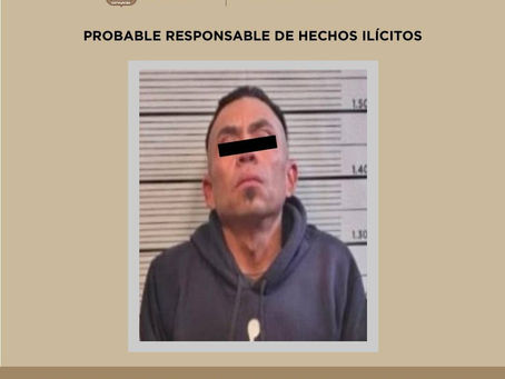 Detienen en el Sur a presunto responsable de delitos contra la salud y labores de halconeo