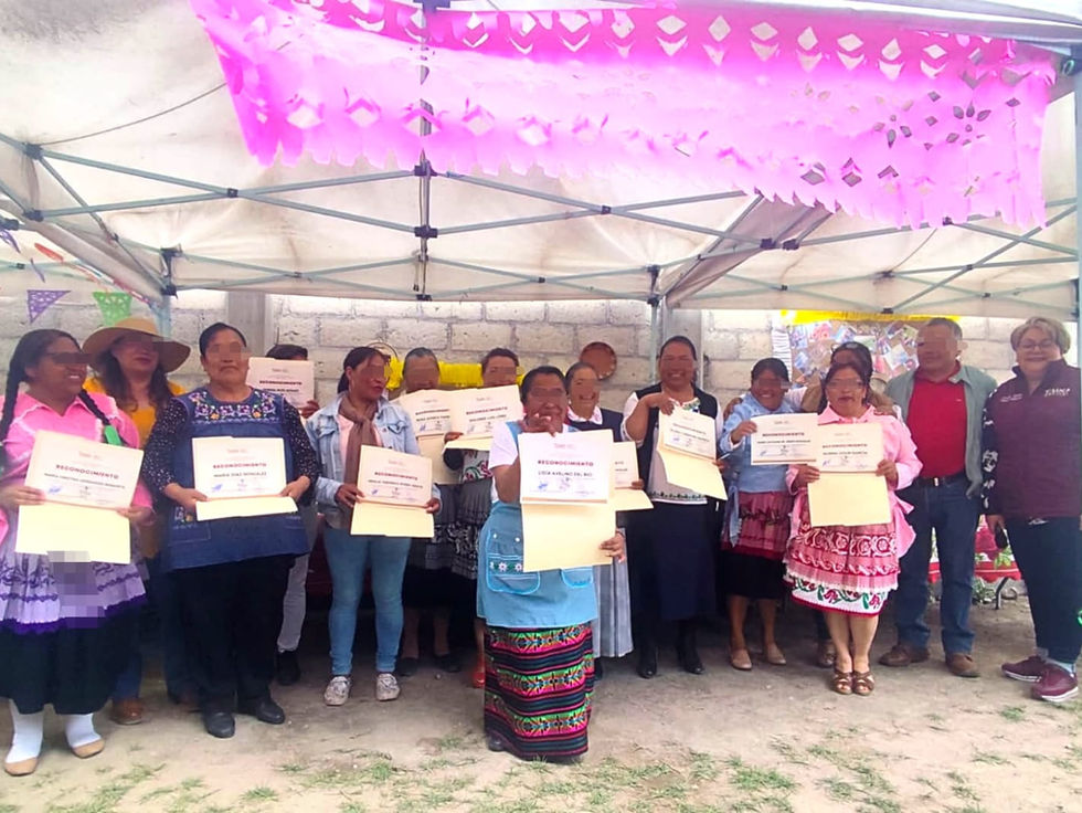Tlachaloya, Cuexcontitlán, Autopan y Huichochitlán reciben capacitación para autonomía femenina