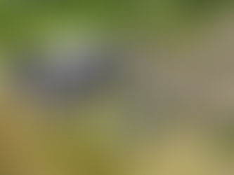 Mezcal del sur mexiquense consolida su Denominación de Origen con base científica