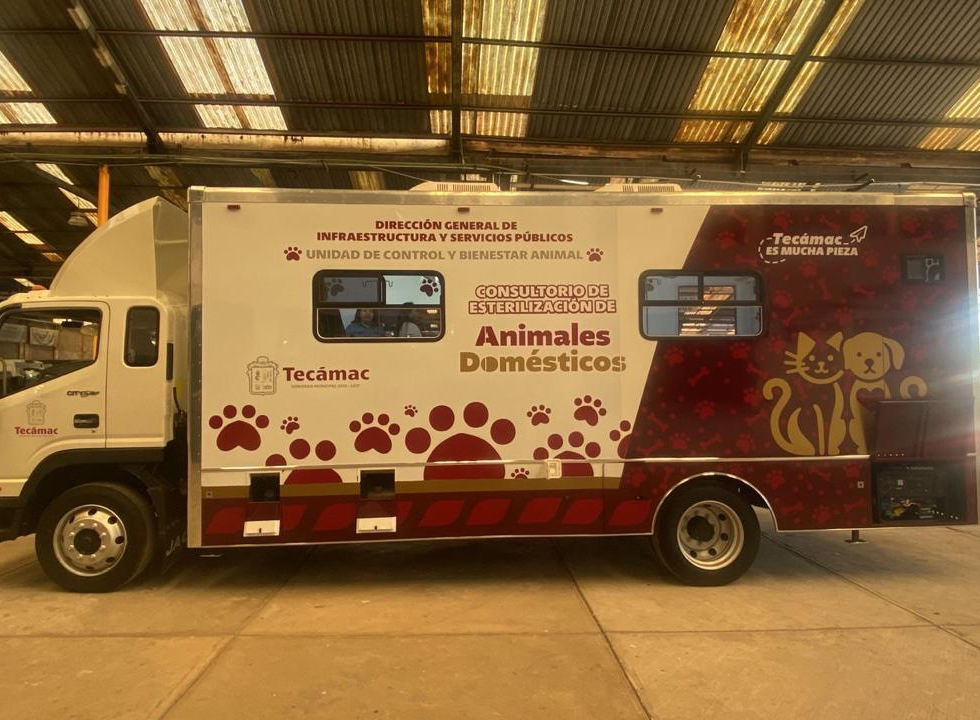 Rosi Wong impulsa acciones y recursos para fortalecer el bienestar animal en el municipio