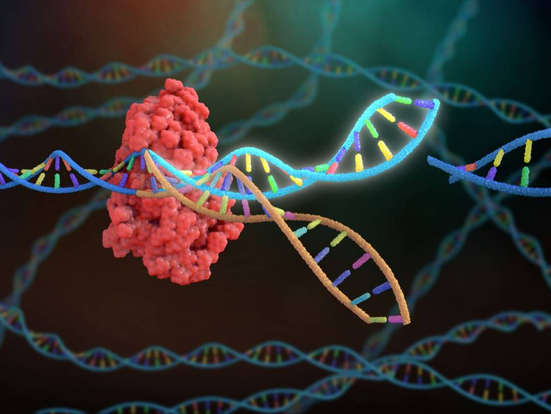 La entrada en la era Crispr-Casg