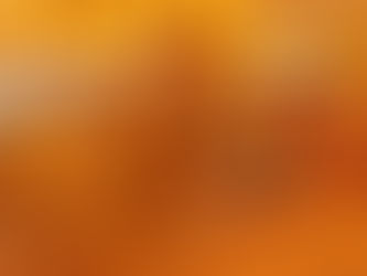 Misión cumplida; el sur ya puede exportar ganado a los EUA