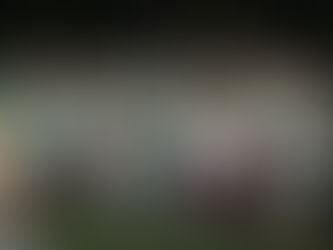 Potros Salvajes vencen a Halcones de la UV y suman su segundo triunfo en la Conferencia Nacional de la ONEFA