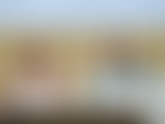 Llama Lilia Urbina a combatir desde el Congreso los ‘deepfakes’