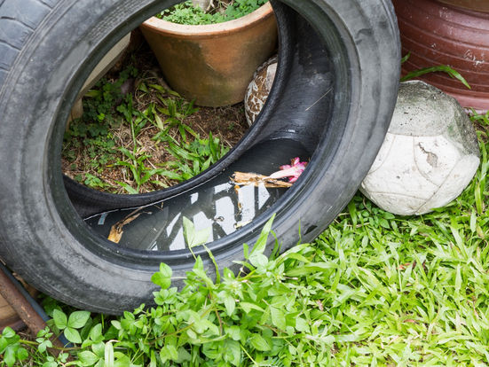 Alertan por dengue, zika y chikungunya, piden reforzar prevención