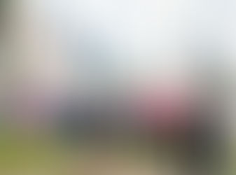 Urge rescatar y difundir vida y obra de la "madre de la patria "