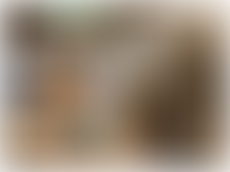 Tecámac se consolida como referente en protección de la Biodiversidad