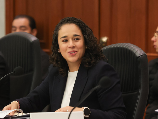 Presupuesto 2025 del IEEM, democrático, ciudadano y republicano: Amalia Pulido