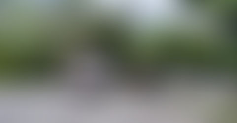 Muere niño de cuatro años tras asomarse por la ventana de un autobús