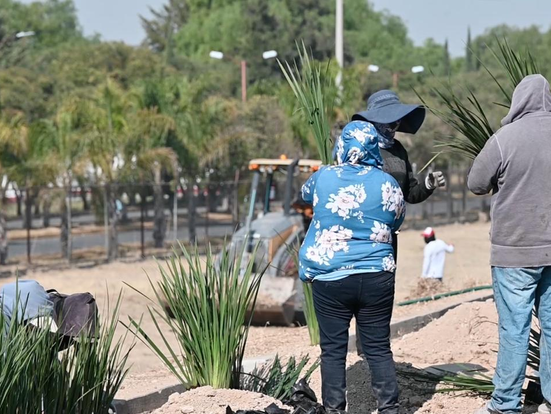 Rosi Wong refuerza acciones a favor del medio ambiente de Tecámac