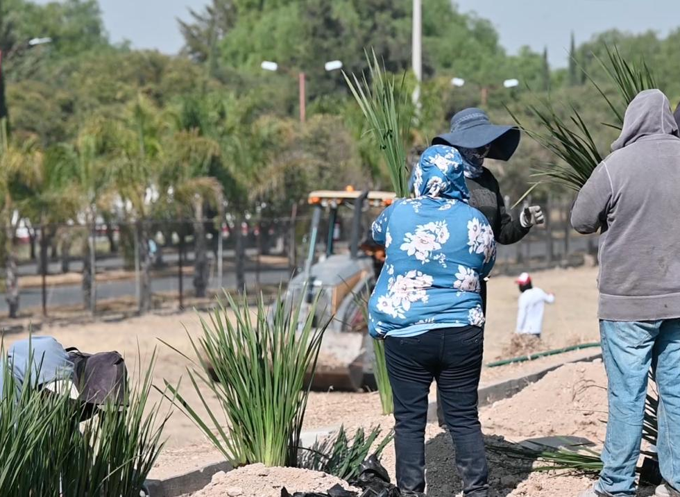 Rosi Wong refuerza acciones a favor del medio ambiente de Tecámac
