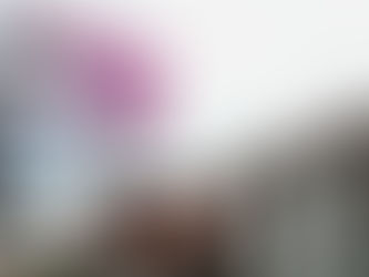 IEEM: 16 años formando profesionales que fortalecen la democracia