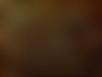 Insentiva Edoméx la producción de abejas