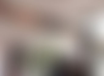 Rosi Wong impulsa la lectura en Tecámac por el Día Mundial del Libro