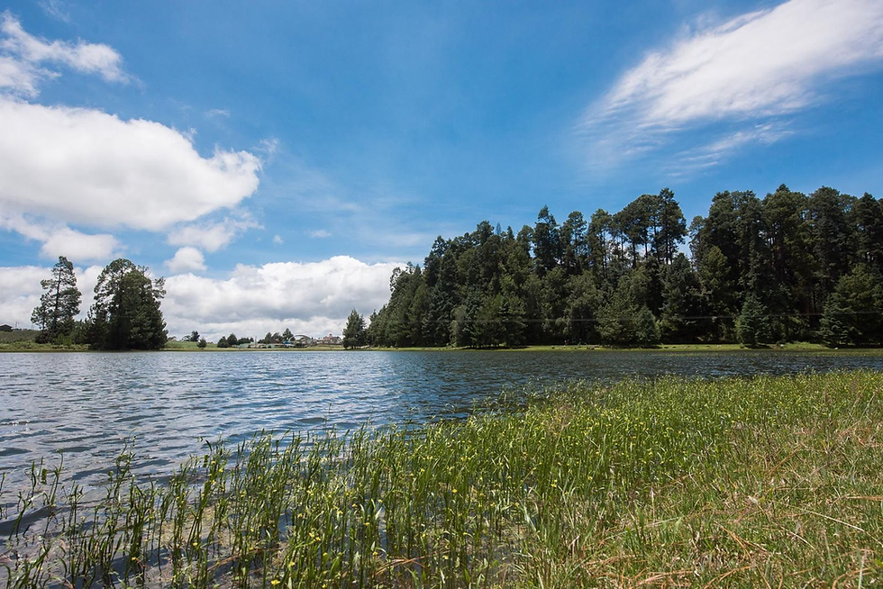 Prioriza GPPVEM reformas en biodiversidad, alimentación y deporte
