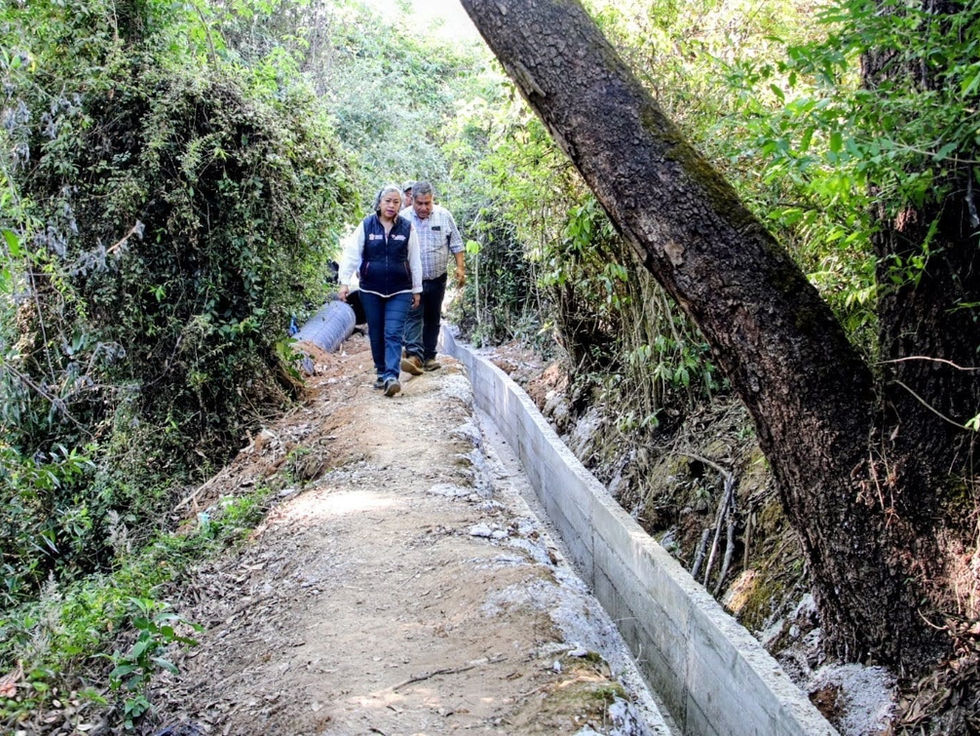 Productores de fresa y flor aseguran agua para sus cultivos gracias a rehabilitación de canales