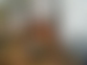 Emite Toluca recomendaciones para prevenir incendios forestales