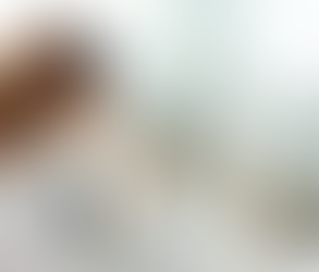 Gobierno capitalino asegura atención a 304 perros resguardados en el Ajusco