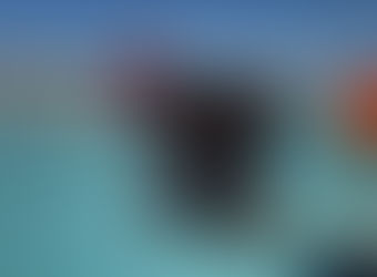 Tras Operación Enjambre suman 1,146 años de prisión en contra de 20 individuos en Edomex