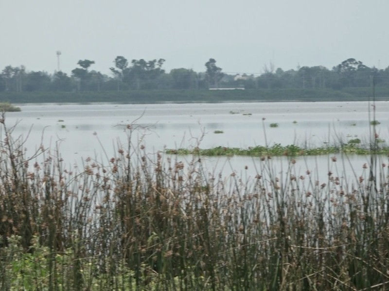 Buscan cárcel para quien contamine el agua