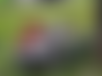 Volcadura en Paseo Tollocan deja cuatro lesionados