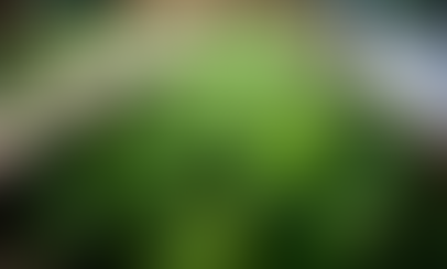 Afecta el crimen organizado las exportaciones de aguacate mexicano para el Super Bowl