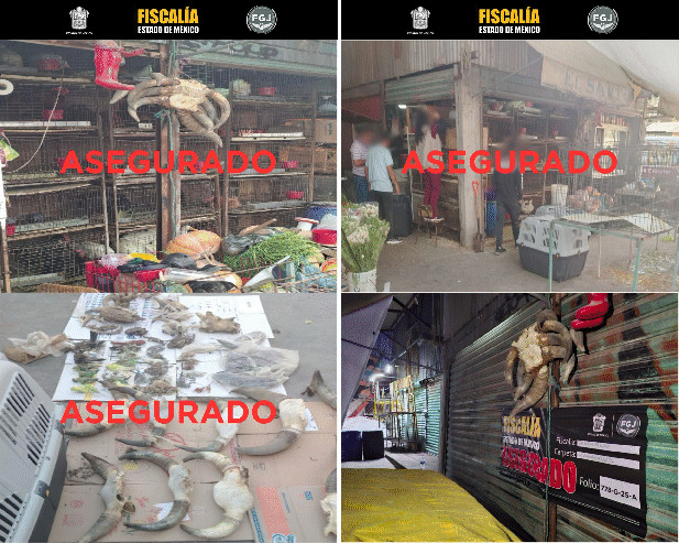 Rescatan 162 animales en mercado de Cuautitlán