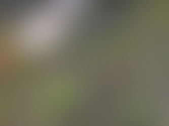 Hallan a dos hombres ejecutados cerca de una mina