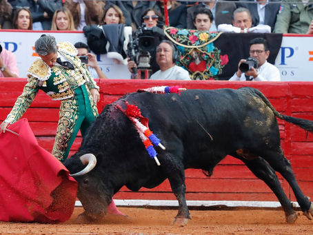 Continuarán pero sin sangre corridas de toros en la CDMX