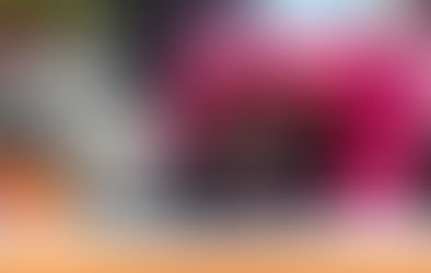 Rescatan cachorro de tigre en vivienda de Ecatepec