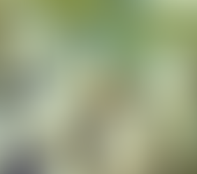 El misterio de la piel azul: familia practicó tanto el incesto que su piel se volvió de ese color