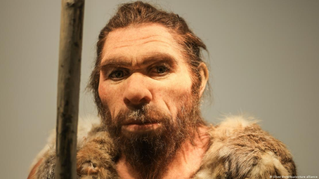 Revelan los secretos íntimos entre neandertales y sapiens