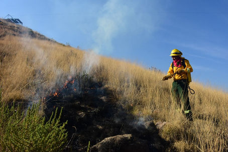 Activan operativo contra incendios forestales en Semana Santa; mantiene Edoméx monitoreo en 100 puntos estratégicos