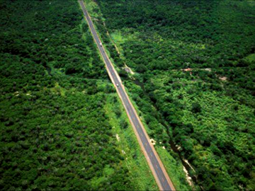 Lula respalda carretera en el Amazonas, pese a advertencias ambientales
