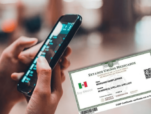 Conoce si tienes líneas celulares desconocidas registradas a tu nombre en tu compañía telefónica