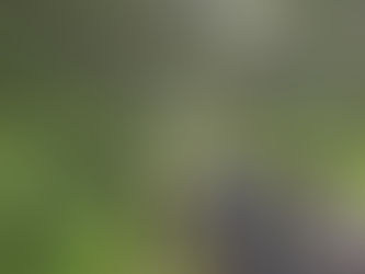 El Parque Matlazincas invita a conocer la riqueza avifaunística del Valle de Toluca