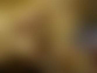 Impulsa Edoméx 315 jardines para proteger polinizadores en 54 municipios